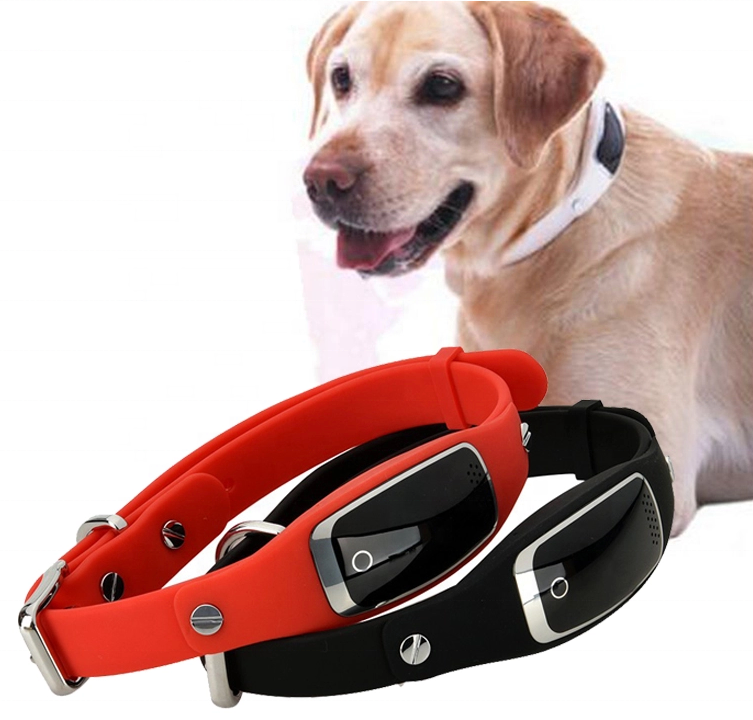 Electric shock collars for pets to be banned