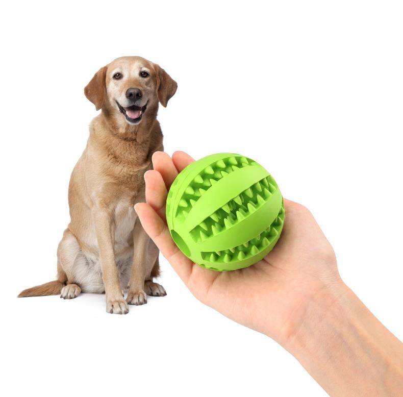 Pet Toy Balls Dog Chew Durable Dog Treat Balls