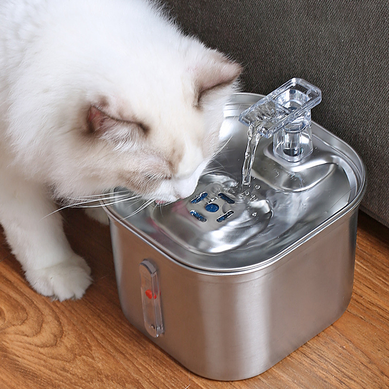 Pure Water, Happy Cat – The Fountain They Deserve
