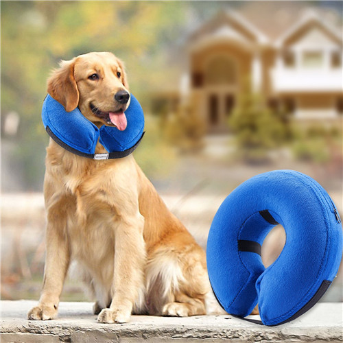 Pet Dog Training Dog E Collar PVC Dog Collar Elizabethan Collar
