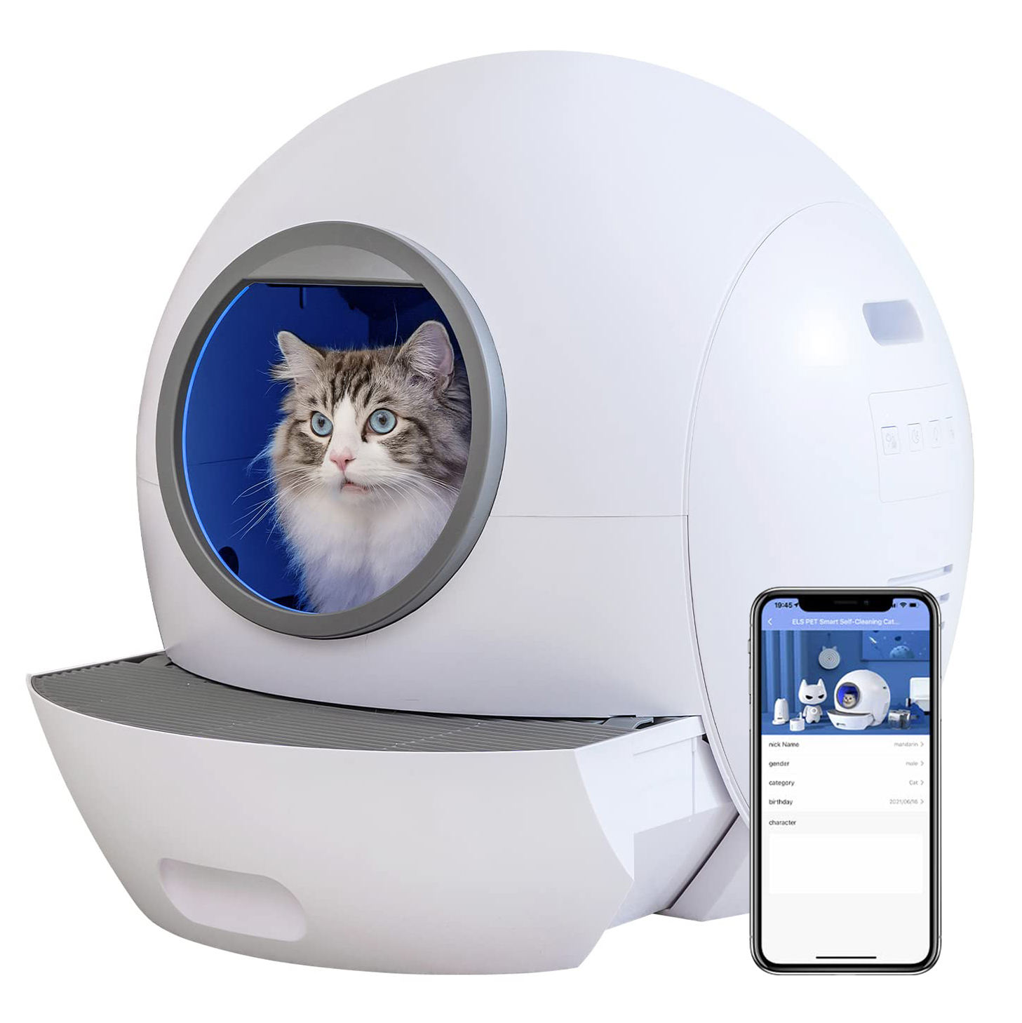 Self Clean Cat Litter Box