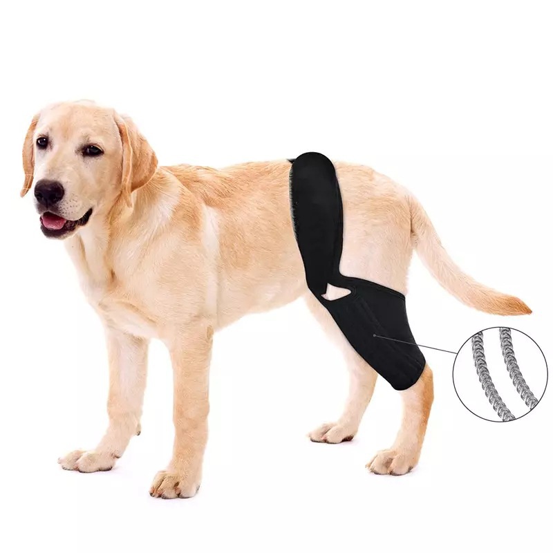 Legs Joint Wrap Protector Dog Canine Knee Brace/Support Brace For Leg Hock Joint Wrap Pet/Adjustable Dog Rear Leg Knee Brace