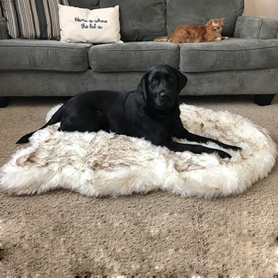 Manufacture Modern High Quality Luxury Plush Pet Soft Warm Cushion Faux Fur Dog Bed