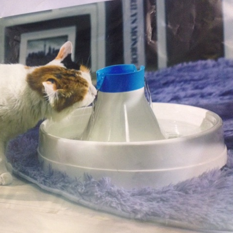 New Design Low Noise Custom Large Capacity Automatic 3l Pet Water Dispenser With Filter For Cats And Dogs