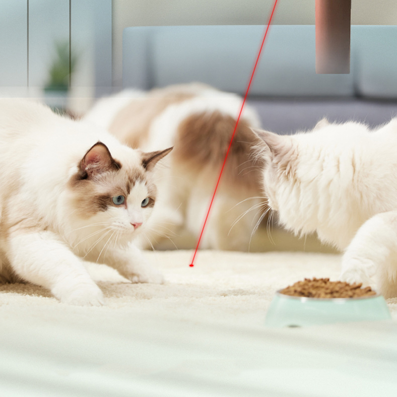Latest Design Eco-Friendly Pet Interactive Food Grade Silicone Material Adjustable Cat Laser Collar