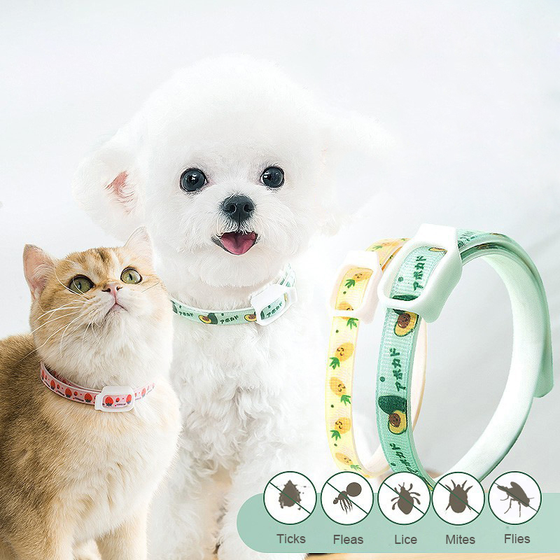Personalized Design Soft Reflective Adjustable Nylon Deworming Features Waterproof Dog Pet Training Collar