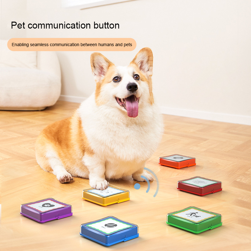 Novelty Designed Voice Recordable Pet Interactive Game Recordable Dog Training Talking Buttons